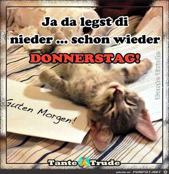 Ja da legst di nieder Ja da legst di nieder