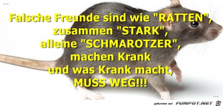 Falsche Freunde...