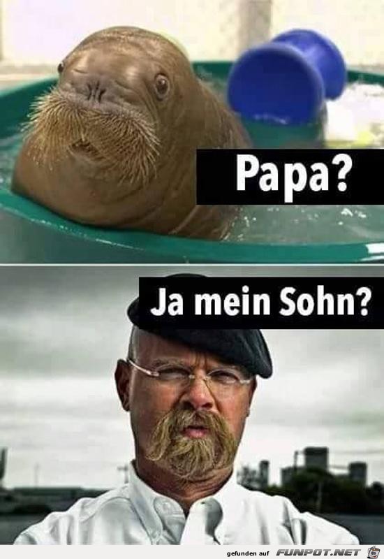 Gewisse Ähnlichkeiten vorhanden Gewisse Ähnlichkeiten vorhanden