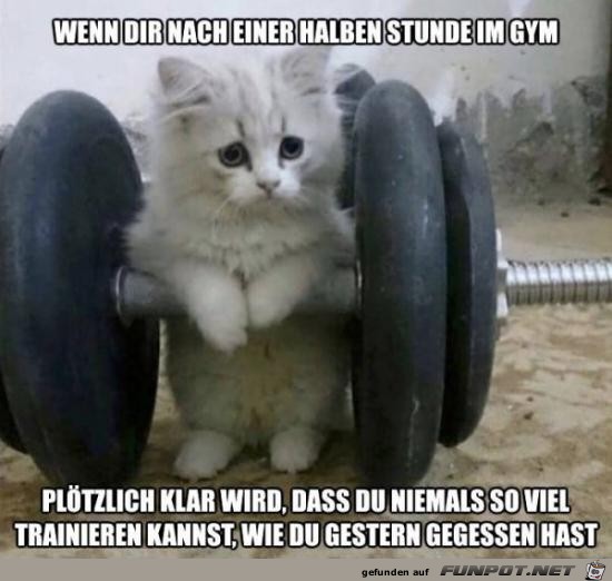 Es ist bitter Es ist bitter