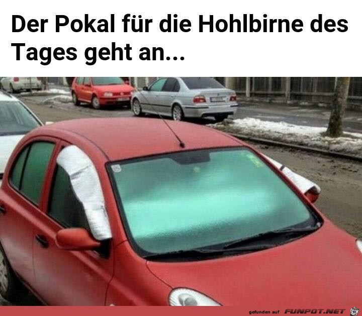 Hohlbirne des Tages Hohlbirne des Tages