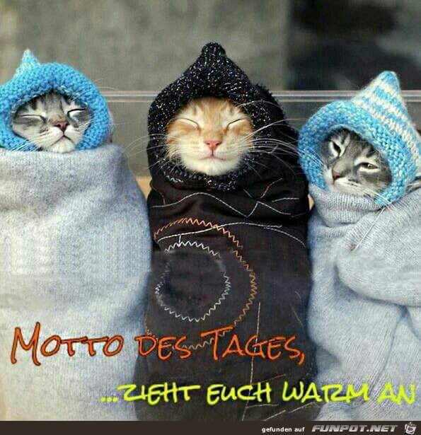 zieht euch warm an