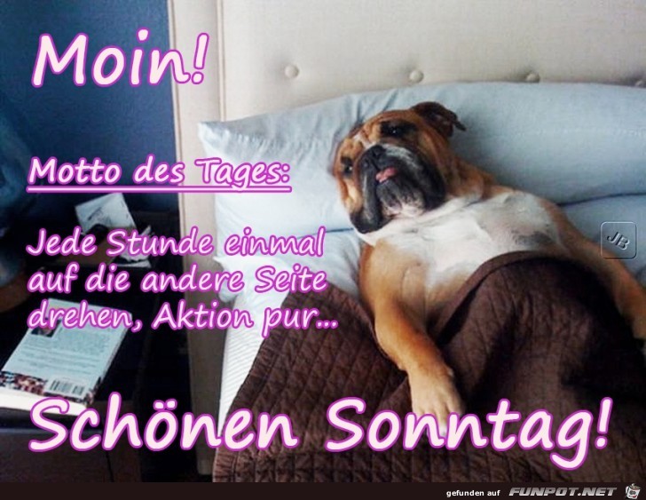 Sonntag Sonntag