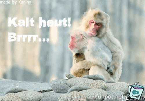 kalt heut.... kalt heut....