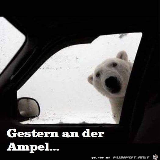 Hallöchen Hallöchen