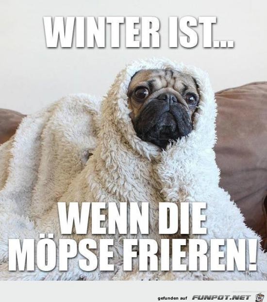 Winter ist