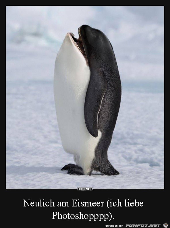 Fotoshop lässt grüßen Fotoshop lässt grüßen