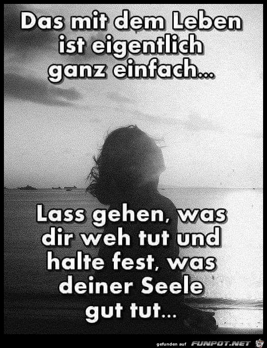 das mit dem Leben ist eigentlich ganz einfach,.....