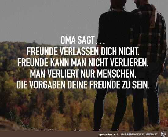Freunde verlassen dich nicht,....... Freunde verlassen dich nicht,.......