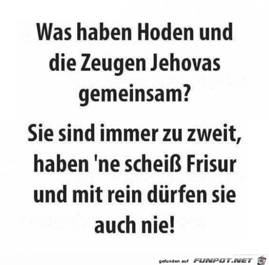 Gemeinsamkeiten Gemeinsamkeiten