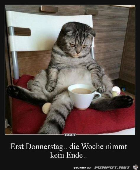 Erst Donnerstag