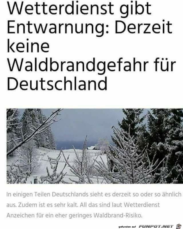 Derzeit keine Waldbrandgefahr