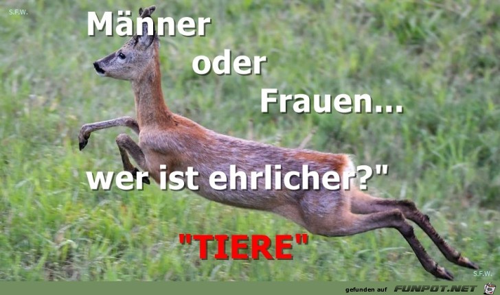 Männer oder Frauen Männer oder Frauen
