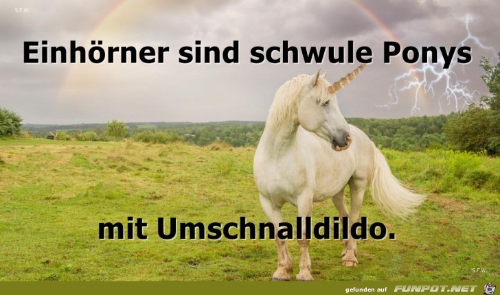 Einhörner Einhörner