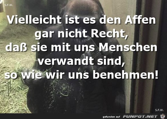Vielleicht Vielleicht