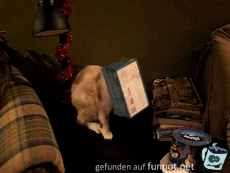 Probleme mit der Box Probleme mit der Box