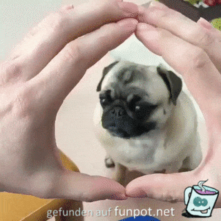 Da bin ich Da bin ich