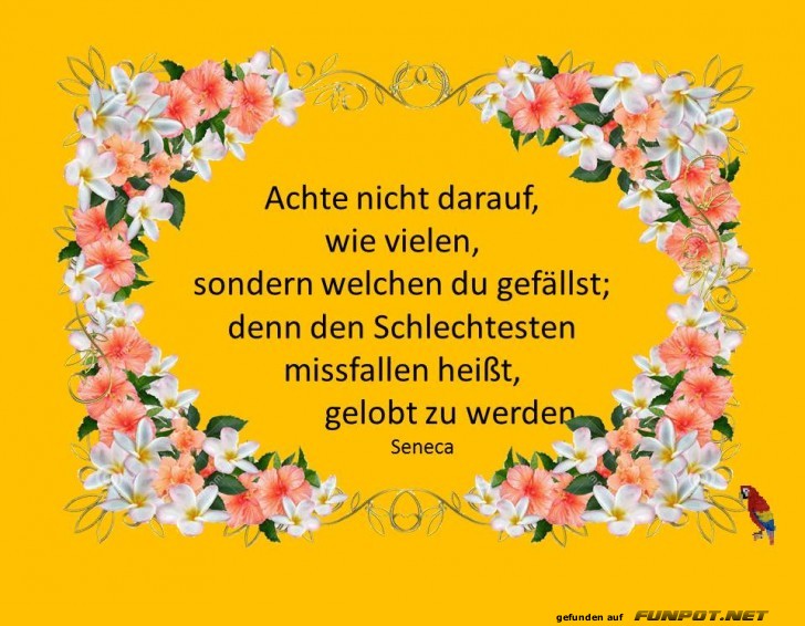 Achte nicht darauf Achte nicht darauf