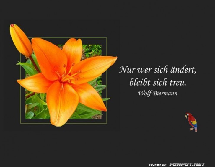 Nur wer sich aendert Nur wer sich aendert