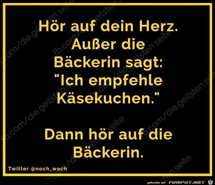 Käsekuchen Käsekuchen