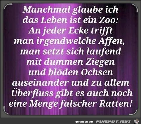 Manchmal glaube ich...