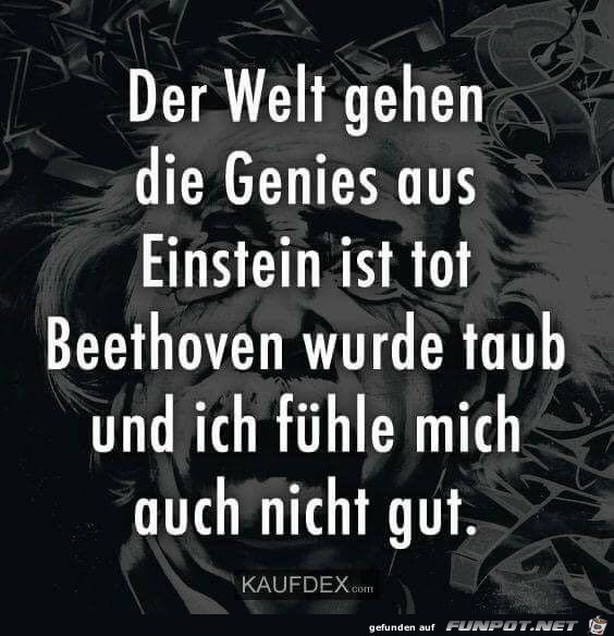 Der Welt gehen die Genies aus.... Der Welt gehen die Genies aus....