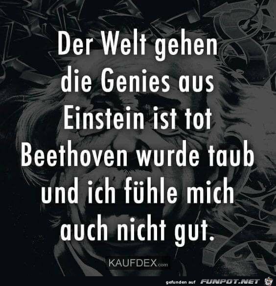 Der Welt gehen die Genies aus....