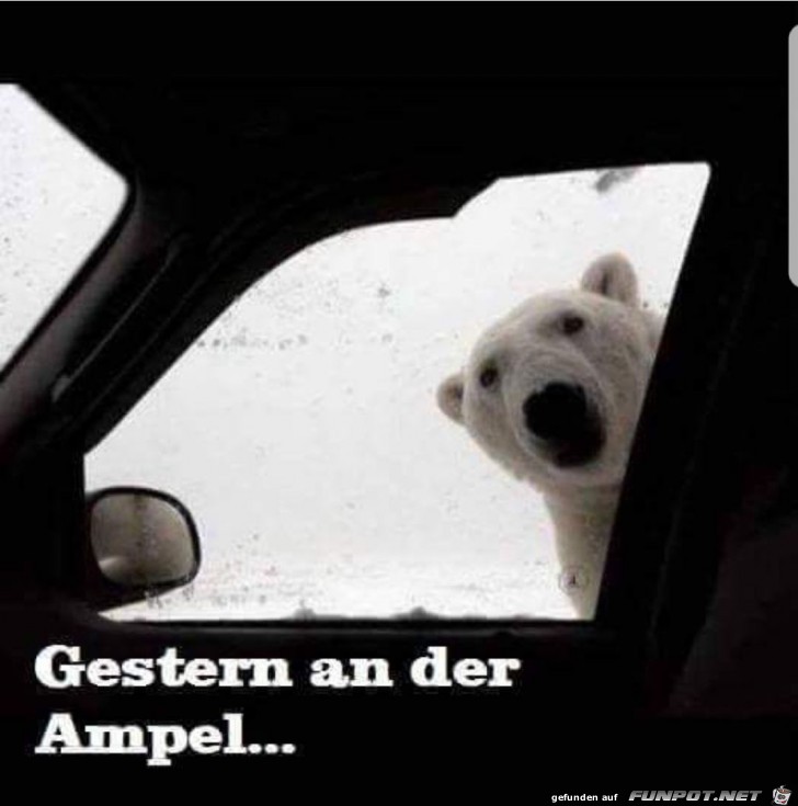 Gestern an der Ampel Gestern an der Ampel