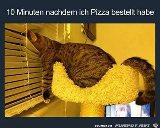 Pizza bestellt