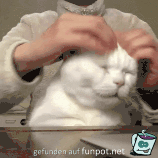 Kopfmassage Kopfmassage