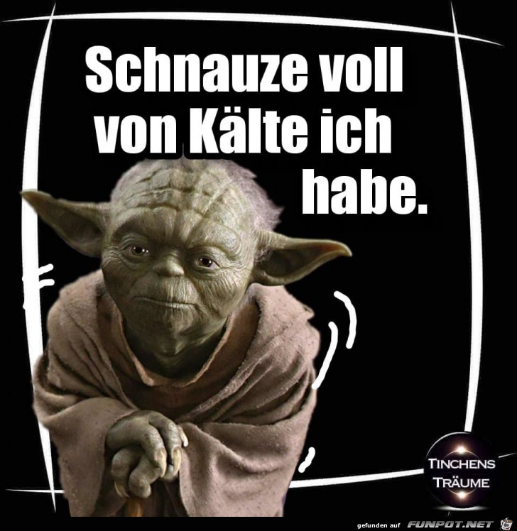 Schnauze voll Schnauze voll