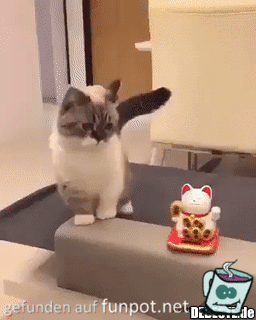 Winke-Katze Winke-Katze