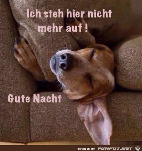 Ich steh nicht auf Ich steh nicht auf