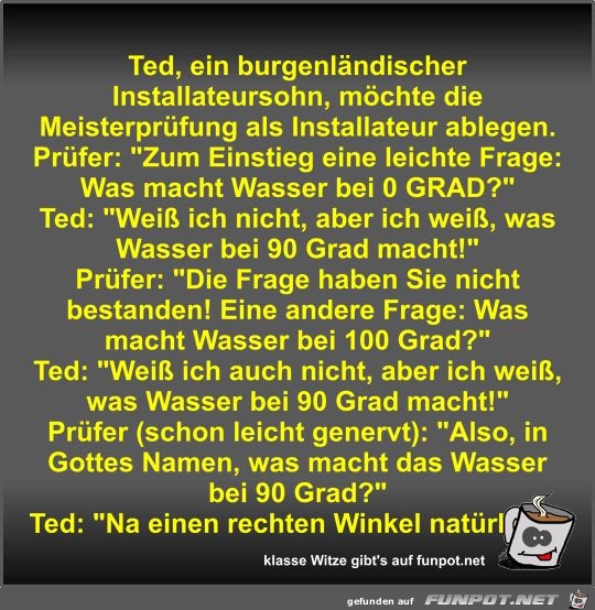 Ted, ein burgenländischer Installateursohn, möchte die... Ted, ein burgenländischer Installateursohn, möchte die...