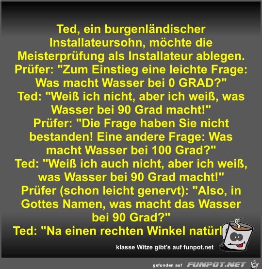 Ted, ein burgenlndischer Installateursohn, mchte die...