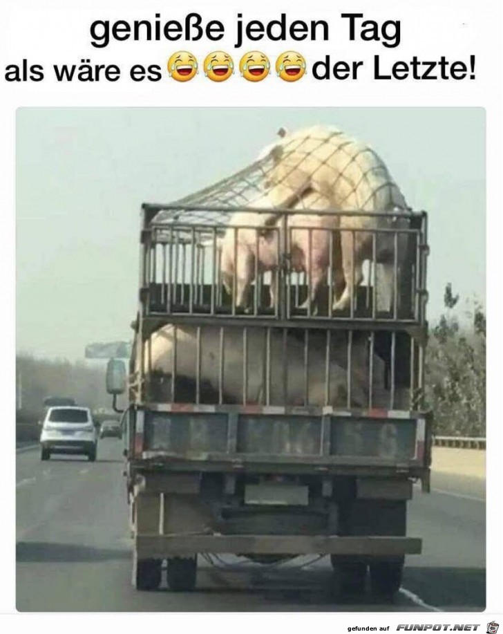 Geniesse jeden Tag als wre es dein letzter