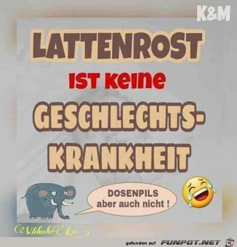 Lattenrost ist keine Gechlechtskrankheit