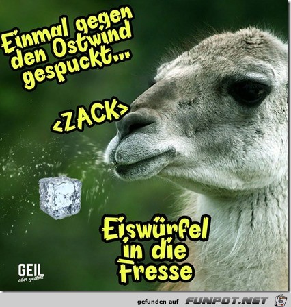 Gegen den Ostwind gespuckt Gegen den Ostwind gespuckt