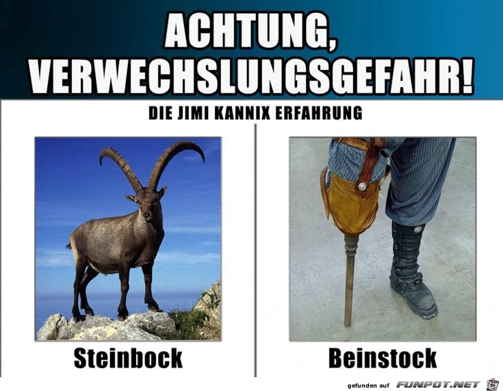 Steinbock vs. Beinstock