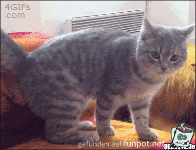 Huch Huch