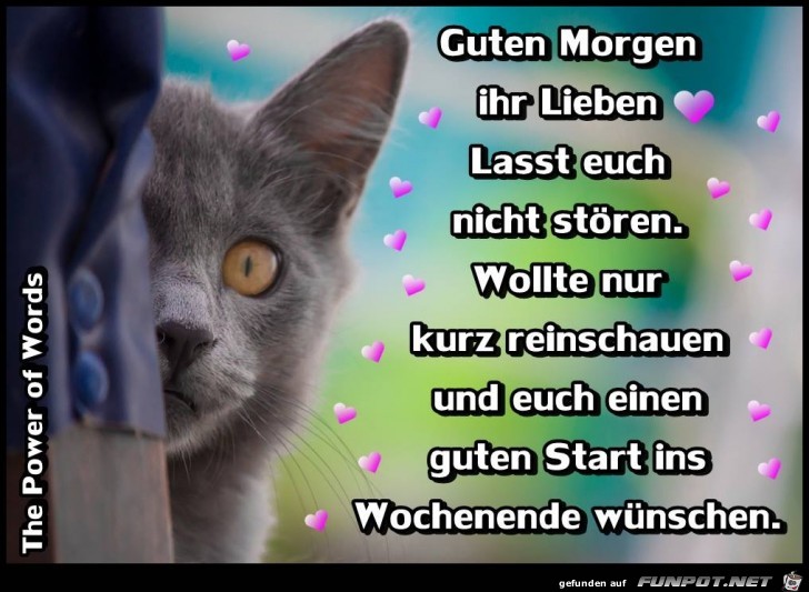 Guten Morgen ihr Lieben