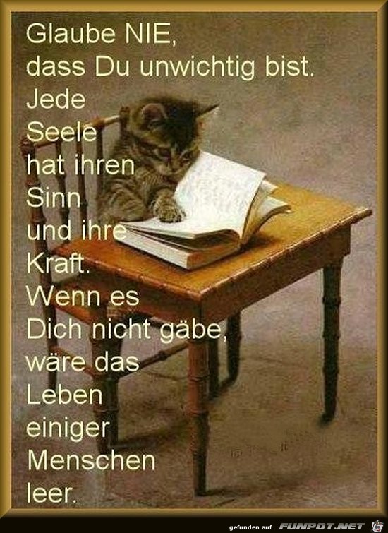 Glaube nie Glaube nie