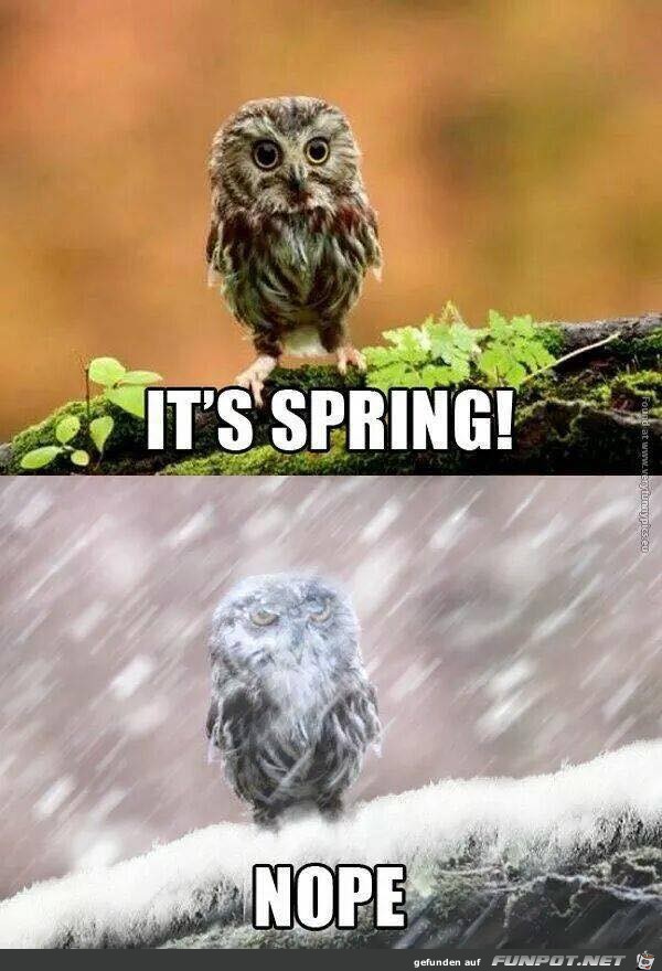 Nein es ist nicht Frühling Nein es ist nicht Frühling