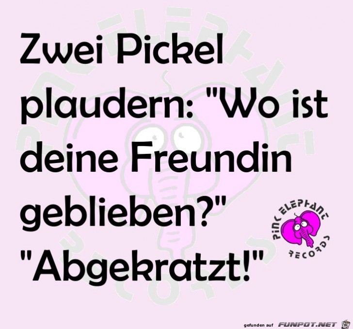 Zwei Pickel Zwei Pickel