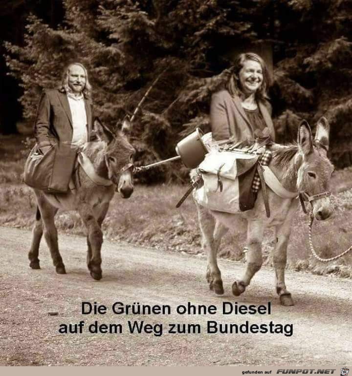 Die Grünen Die Grünen