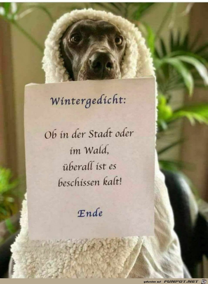 Wintergedicht