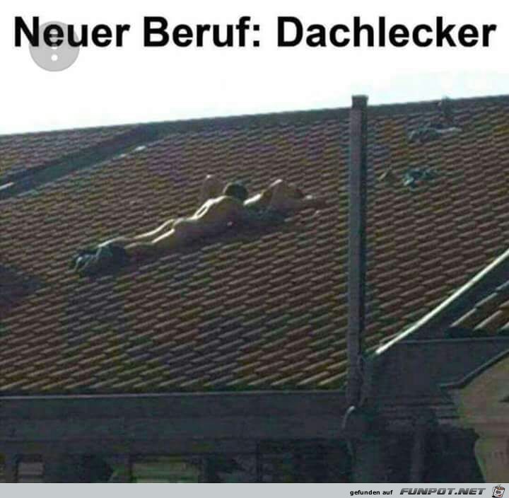 Dachlecker