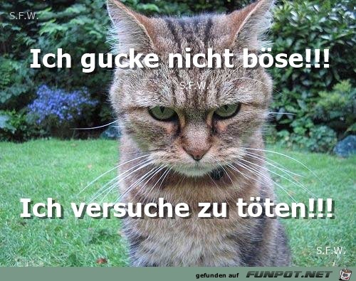 böse böse