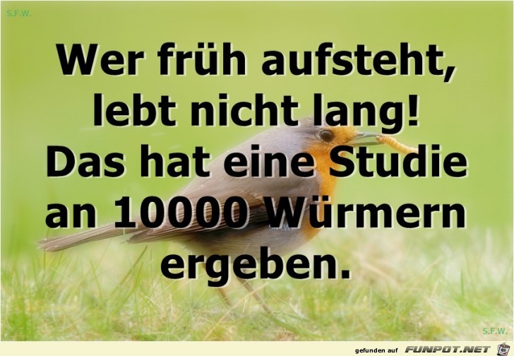 Wer früh aufsteht..... Wer früh aufsteht.....