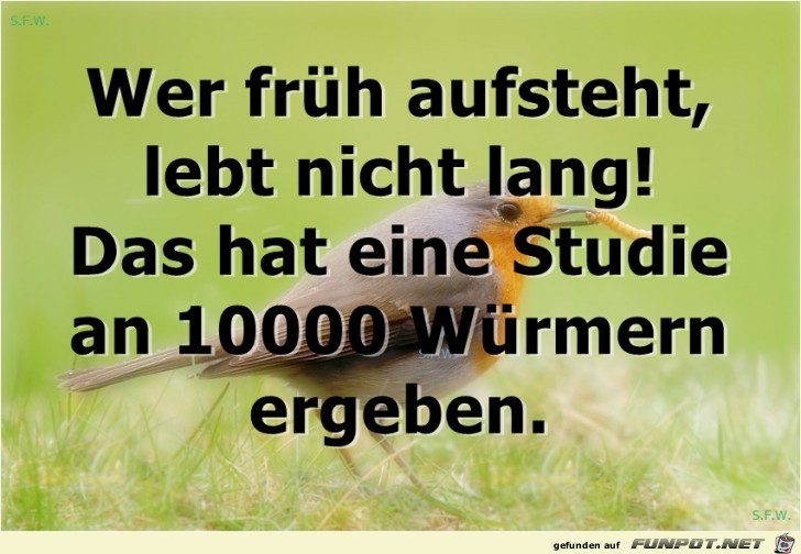 Wer frh aufsteht.....